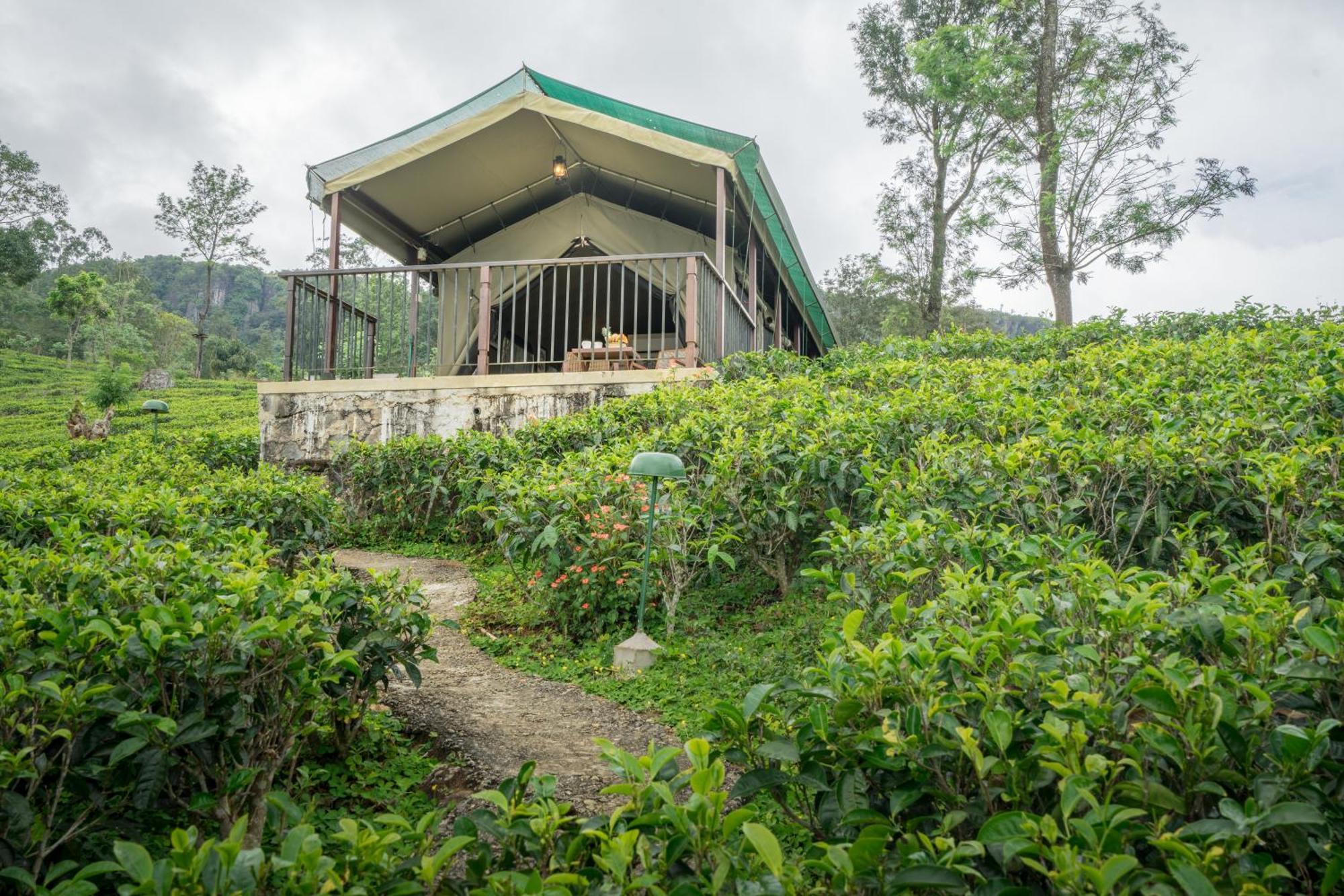 Madulkelle Tea And Eco Lodge Kandy Exterior photo